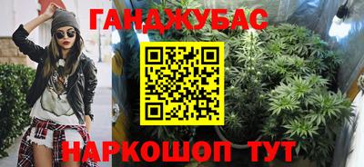 гашик Славгород