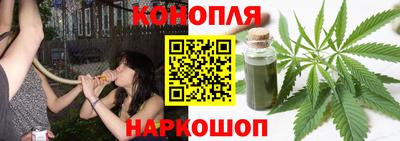 гашик Славгород