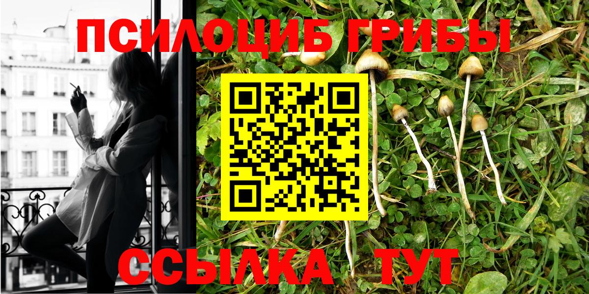 Петропавловск-Камчатский  Псилоцибиновые грибы Psilocybe  Галлюциногенные грибы Psilocybine cubensis  Вход с VPN 